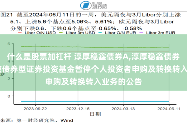 什么是股票加杠杆 淳厚稳鑫债券A,淳厚稳鑫债券C: 淳厚稳鑫债券型证券投资基金暂停个人投资者申购及转换转入业务的公告