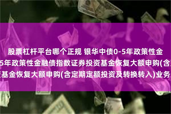 股票杠杆平台哪个正规 银华中债0-5年政策性金融债指数: 银华中债0-5年政策性金融债指数证券投资基金恢复大额申购(含定期定额投资及转换转入)业务的公告