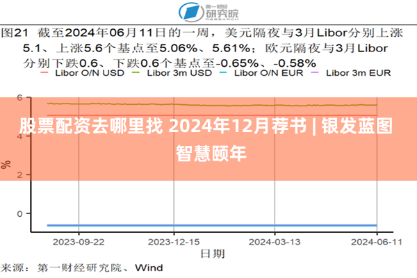 股票配资去哪里找 2024年12月荐书 | 银发蓝图  智慧颐年