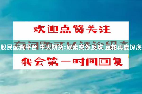 股民配资平台 中天期货:尿素突然反攻 豆粕再度探底