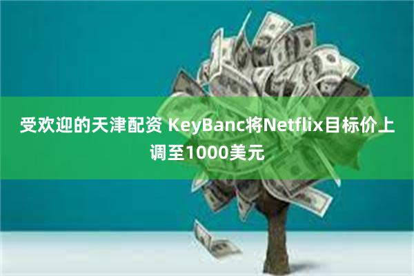 受欢迎的天津配资 KeyBanc将Netflix目标价上调至1000美元