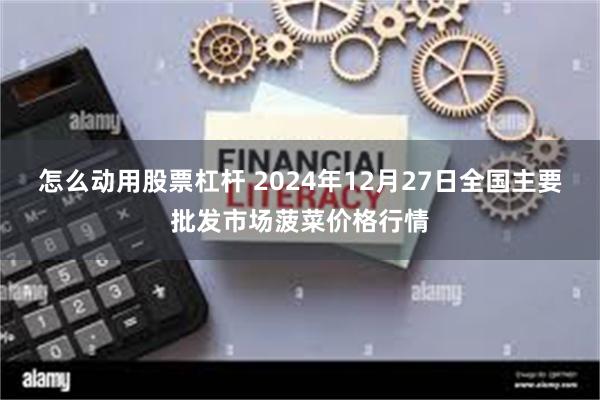 怎么动用股票杠杆 2024年12月27日全国主要批发市场菠菜价格行情