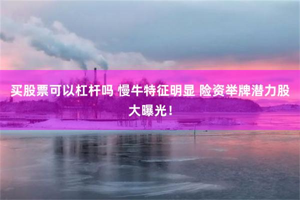 买股票可以杠杆吗 慢牛特征明显 险资举牌潜力股大曝光！