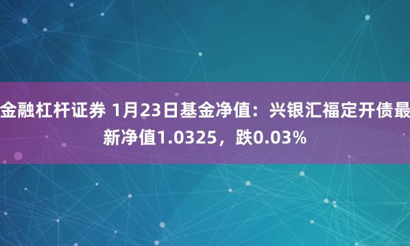 金融杠杆证券 1月23日基金净值：兴银汇福定开债最新净值1.0325，跌0.03%