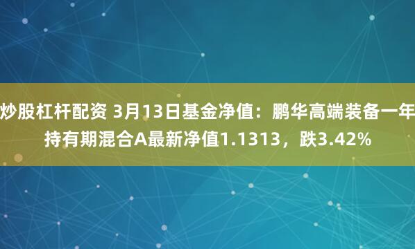 炒股杠杆配资 3月13日基金净值：鹏华高端装备一年持有期混合A最新净值1.1313，跌3.42%