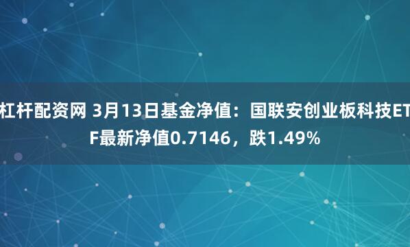 杠杆配资网 3月13日基金净值：国联安创业板科技ETF最新净值0.7146，跌1.49%